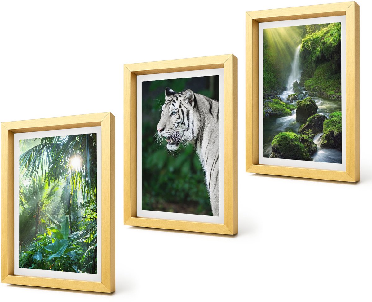 Coloray 4-Delige Schilderij Set - Jungle met een witte tijger en een wilde waterval - 20 x 30 cm - Wanddecoratie - Moderne Interieurdecoratie - Interieur Decoratie