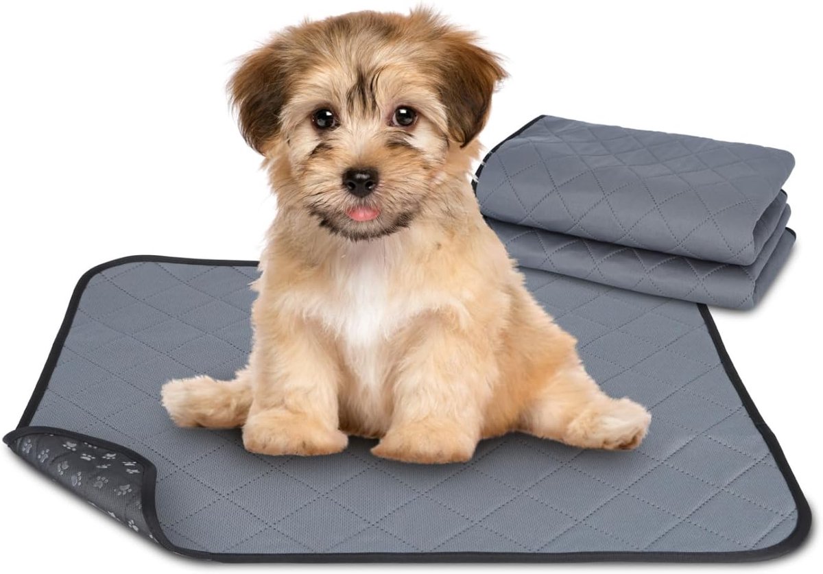 Wasbare Cavia Plasmatten - Cavia-kooimat - Hondenkussen - Absorberend/wasbaar/herbruikbaar/lekvrij - Antislipbodem - Voor Konijnen/Knaagdieren - 3 Stuks - 60x45 cm