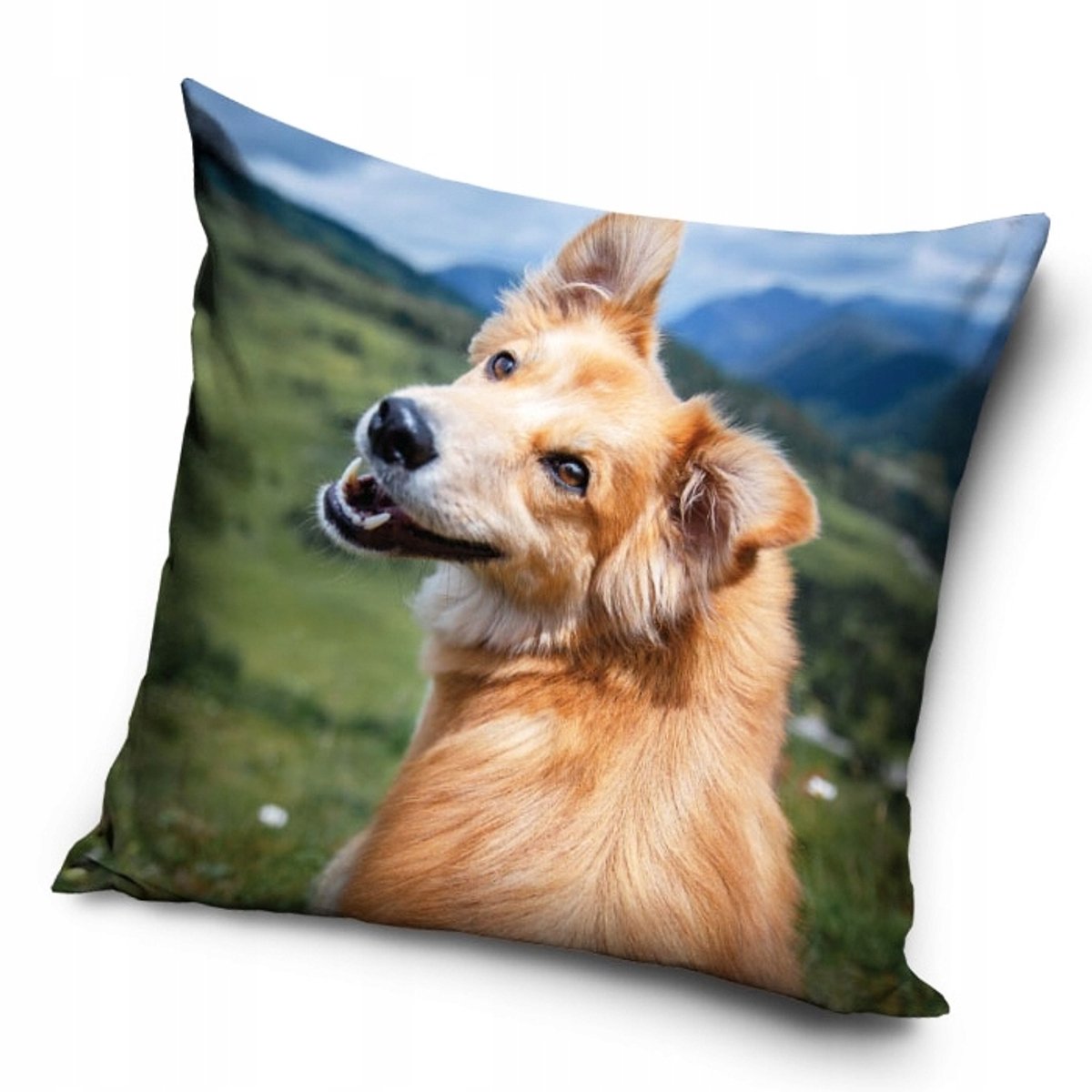 Honden Kussenhoes 40x40 cm - Zacht & Duurzaam