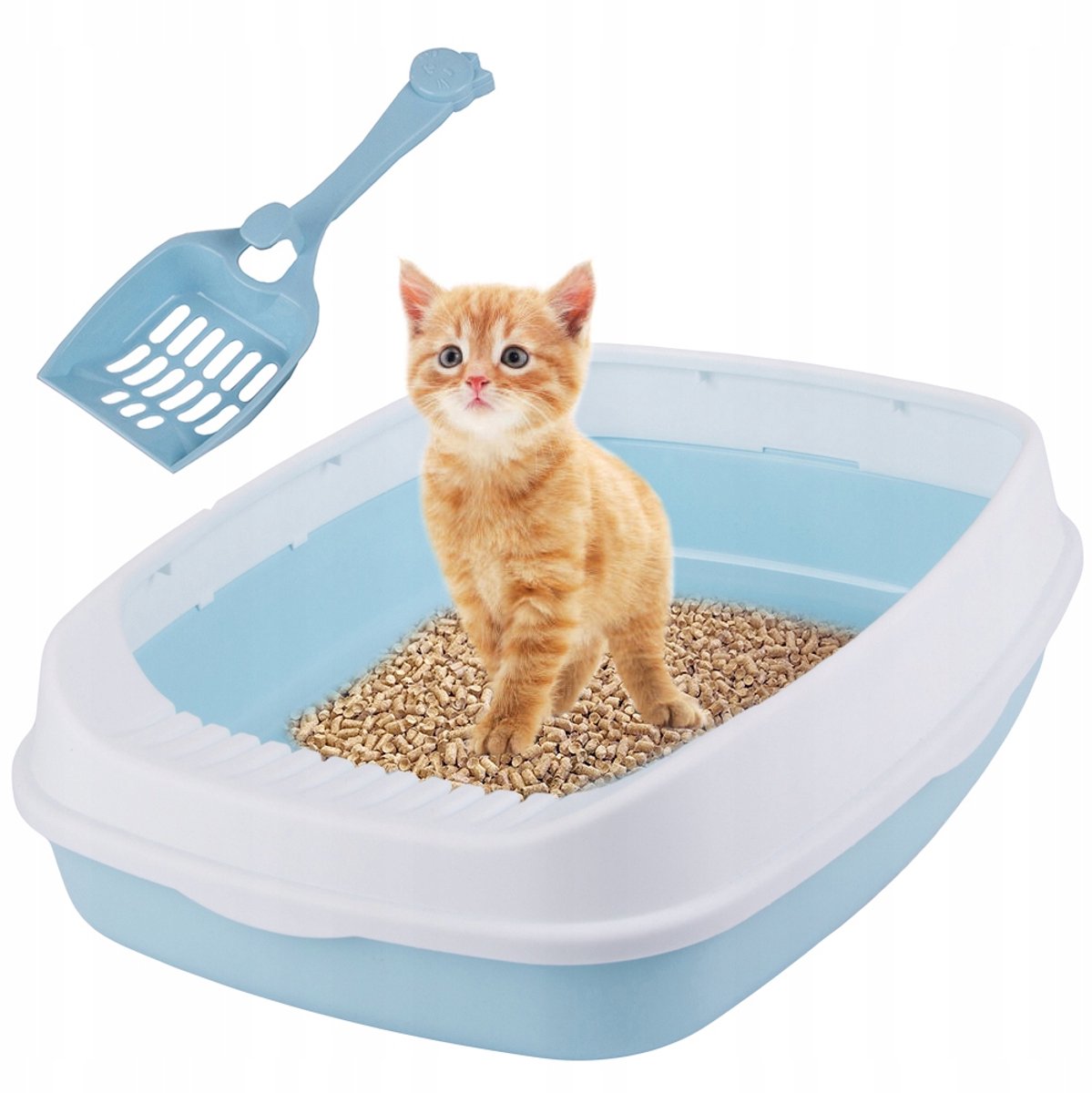 Open Kattenbak met Rand en Schep - Blauw, Groot