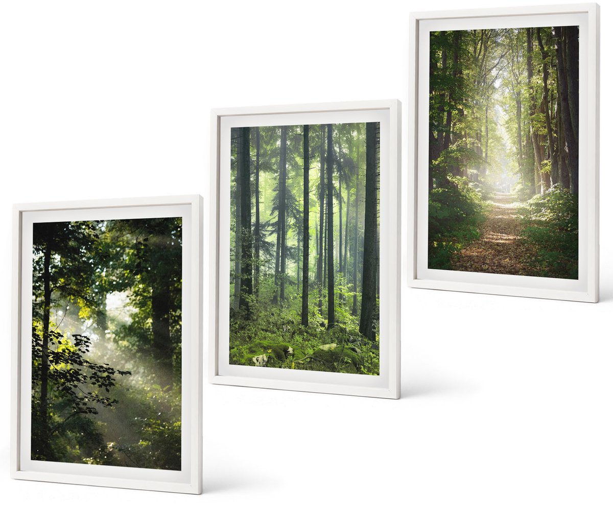 Coloray 3-Delige Schilderij Set - Groene Bossen Met Zonnestralen En Een Bospad - 40 x 60 - Wanddecoratie - Muurdecoratie - Moderne Interieurdecoratie - Interieur Decoratie