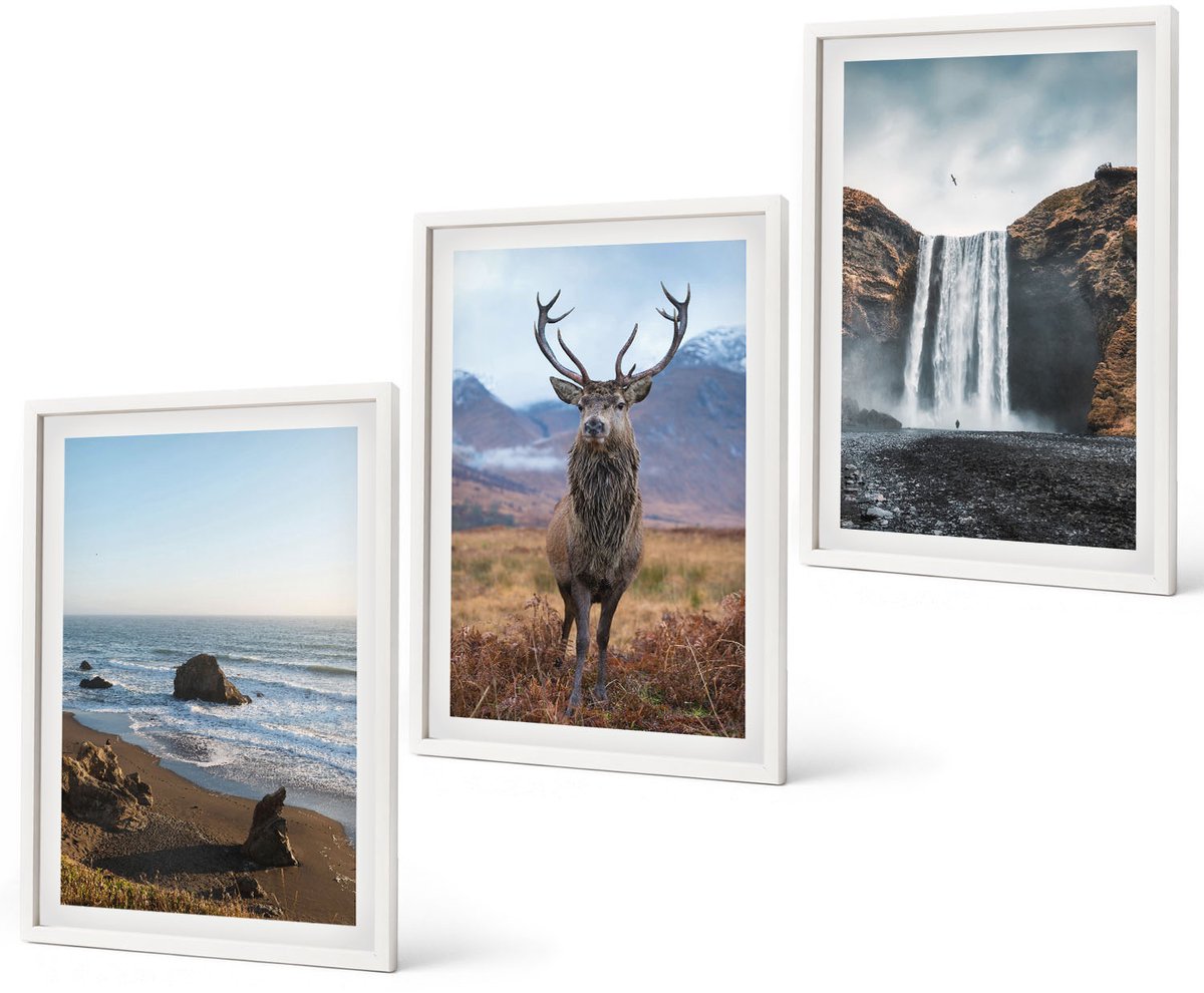 Coloray 3-Delige Schilderij Set - Berglandschappen Met Waterval, Herten En Strand - 40 x 60 - Muurdecoratie - Decoratieve Schilderijen - Wohnzimmer - Interieur Decoratie