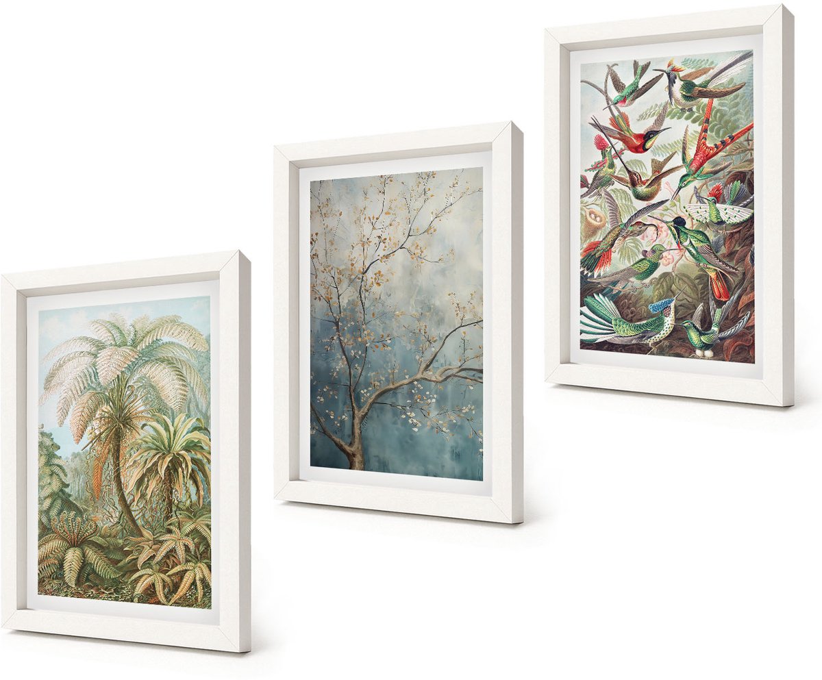Coloray 3-Delige Schilderij Set - Tropische planten en kleurrijke vogels in de natuur - 20x30 - Wanddecoratie - Muurdecoratie - Woonkamer - Woonkamer Decoratie