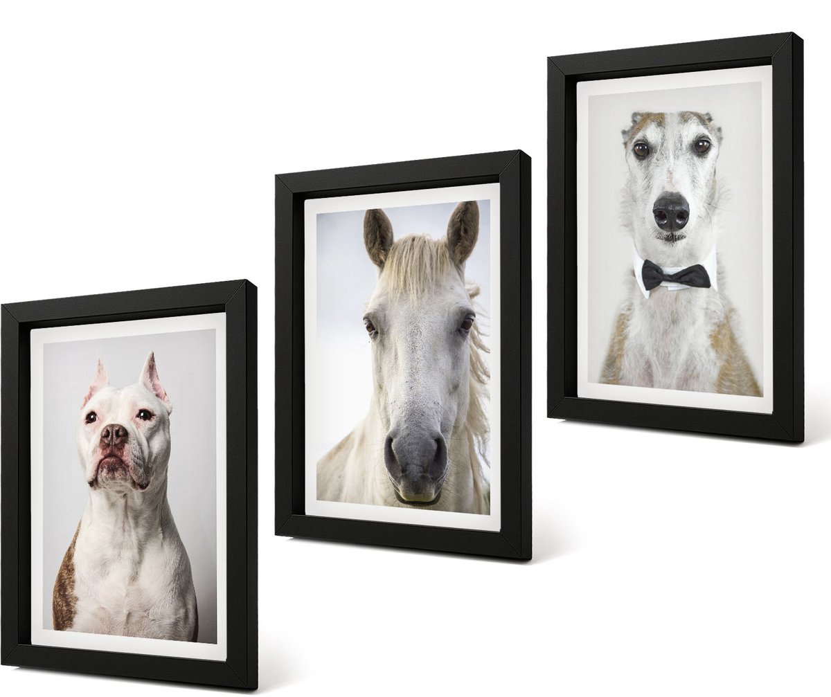 Coloray 4-Delige Schilderij Set - Interessante portretten van honden en paarden in een elegante stijl. - 20 x 30 cm - Moderne Wanddecoratie - Slaapkamer