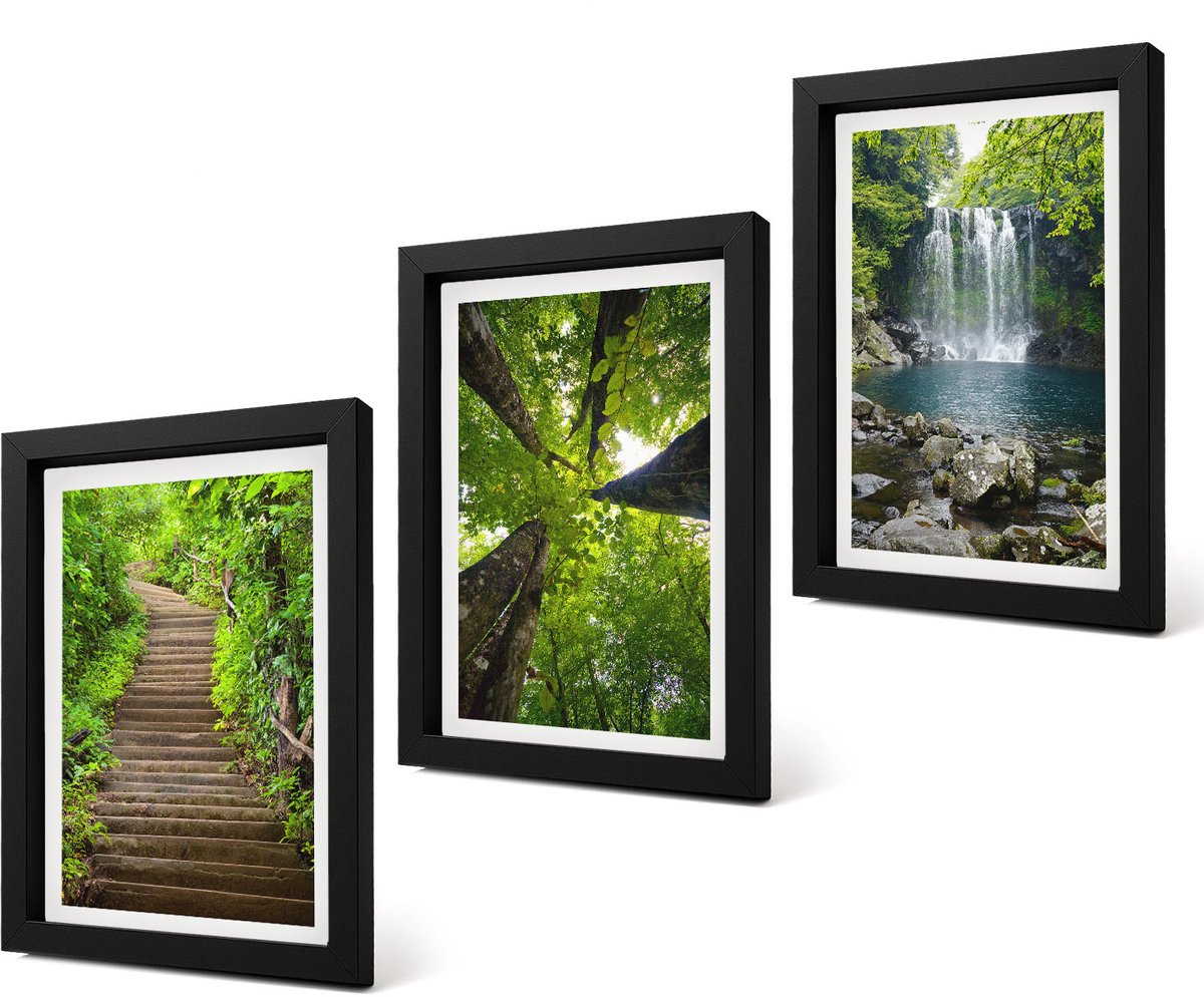 Coloray 4-Delige Schilderij Set - Bospad met waterval en groene vegetatie - 20 x 30 cm - Moderne Wanddecoratie - Woonkamer - Stijlvolle Muurdecoratie