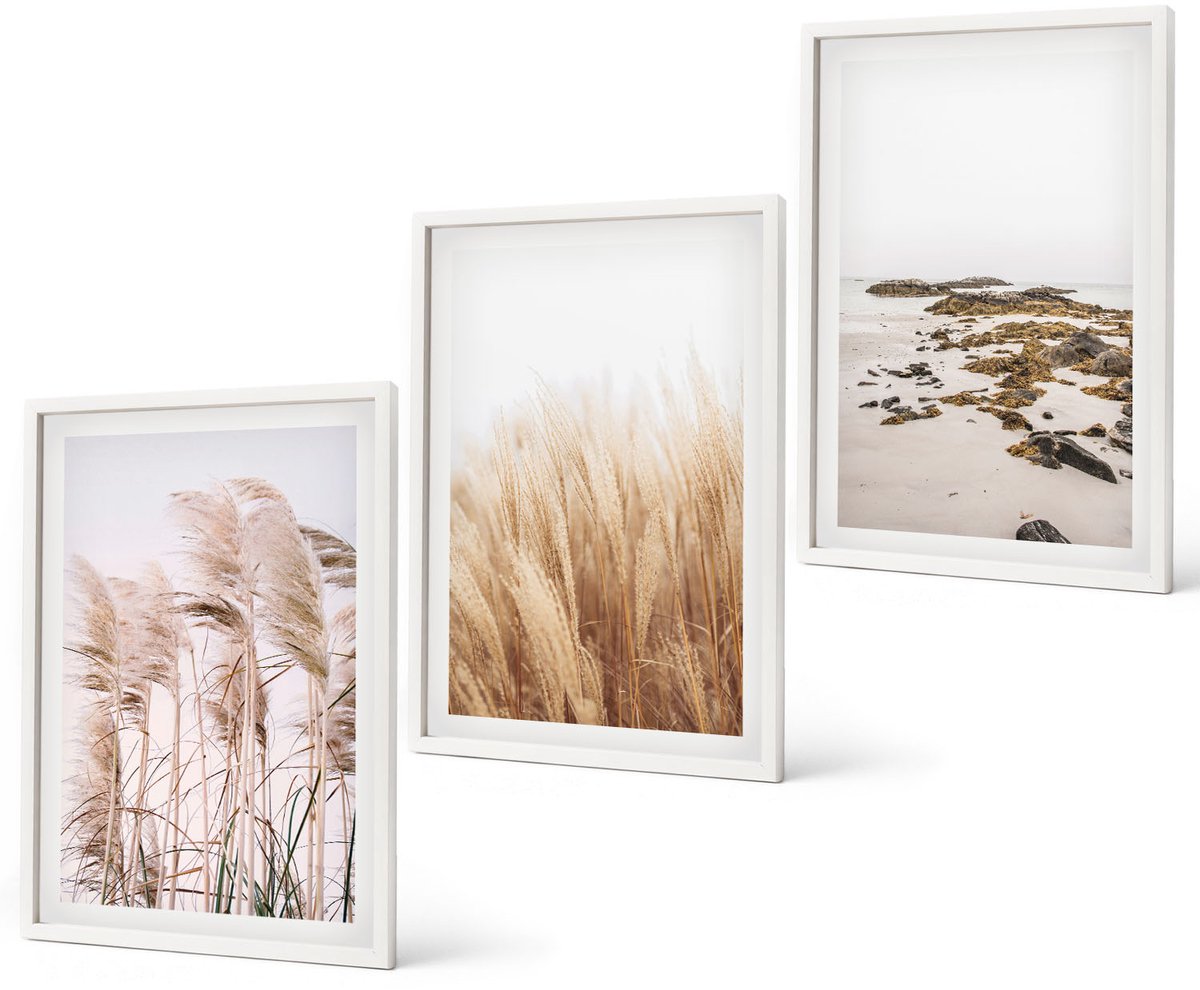 Coloray 3-Delige Schilderij Set - Pampasgrasvelden En Boho-Strand - 40 x 60 - Wanddecoratie - Woonkamer Decoratie - Stijlvolle Muurdecoratie