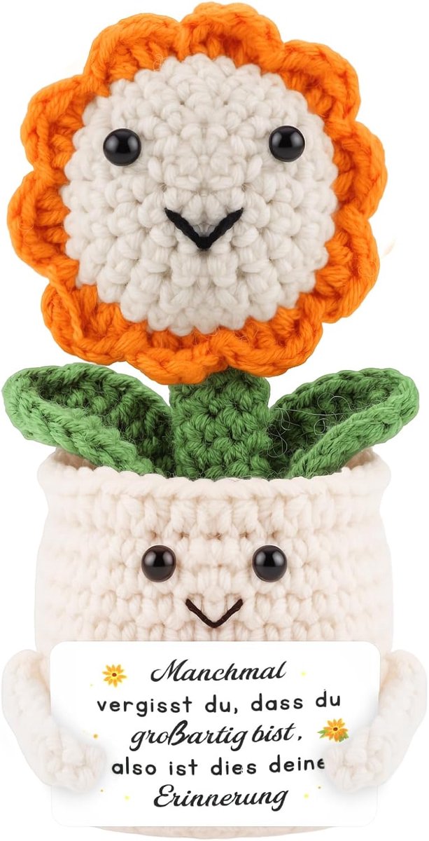 Thboxes Pocket Hug geluksbrenger, zonnebloem, gehaakte geschenken, motivatiegeschenken, geluksbrenger, examen - ShopVlot