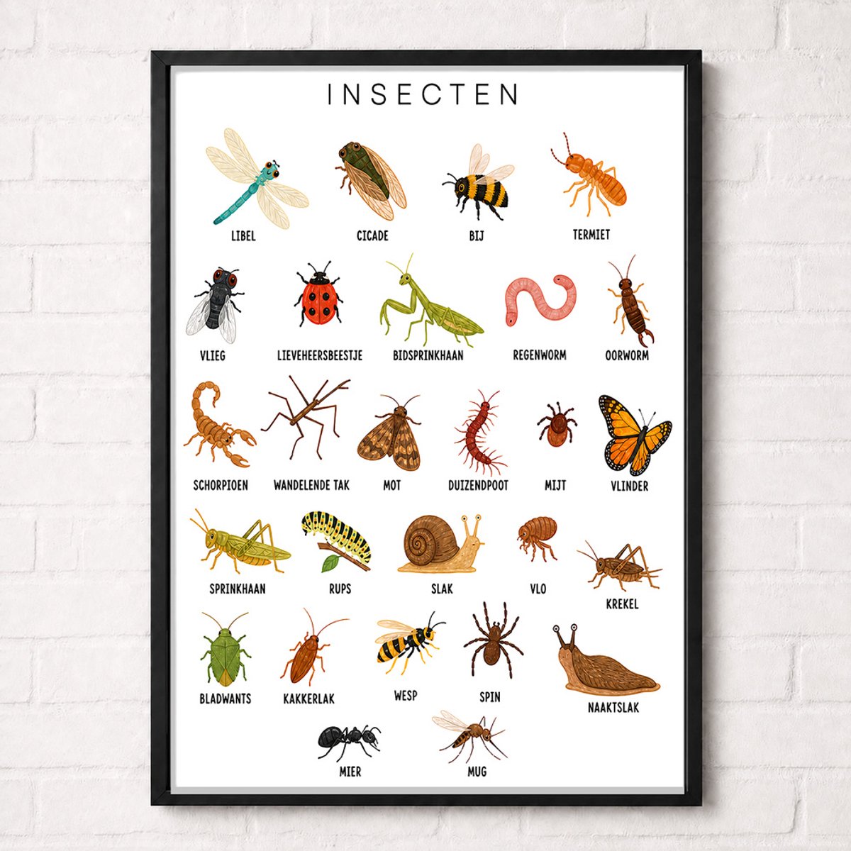 Insecten Educatieve Poster voor Kinderen - Leren - groep 1 t/m 5 (4-9 jaar) - A2+ 43,2 x 61 cm