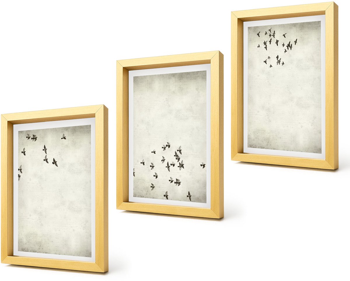 Coloray 4-Delige Schilderij Set - Minimalistisch schilderij van vliegende vogels - 20 x 30 cm - Moderne Wanddecoratie - Slaapkamer - Muurdecoratie