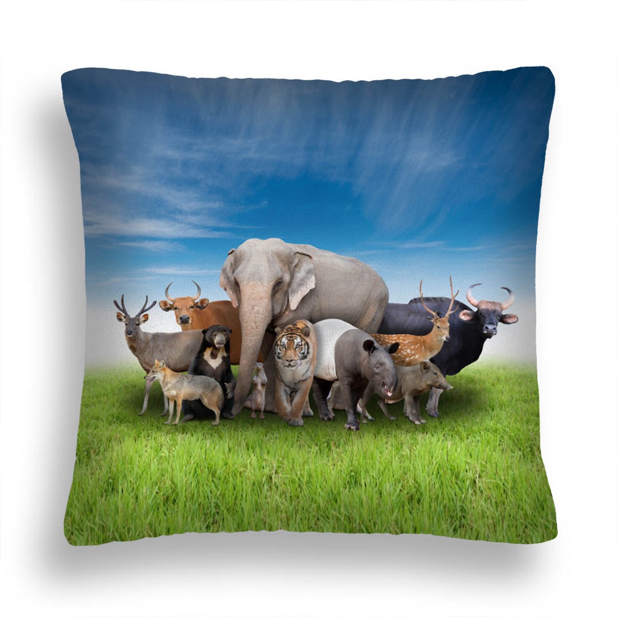 Decoratieve Kusjes Afrikaanse Dieren 40x40 cm - Zacht & Duurzaam