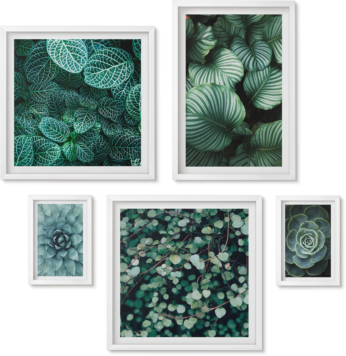 Wallfluent 5-Delige Schilderij Set - Plantmotieven Met Bladeren En Vetplanten In Een Natuurlijke Stijl - 50 x 50 cm, 20 x 30 cm En 40 x 60 cm - Wanddecoratie - Schilderijen Set - Interieur