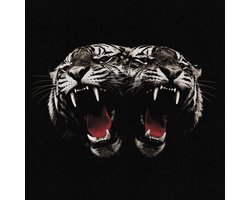 Dead Company