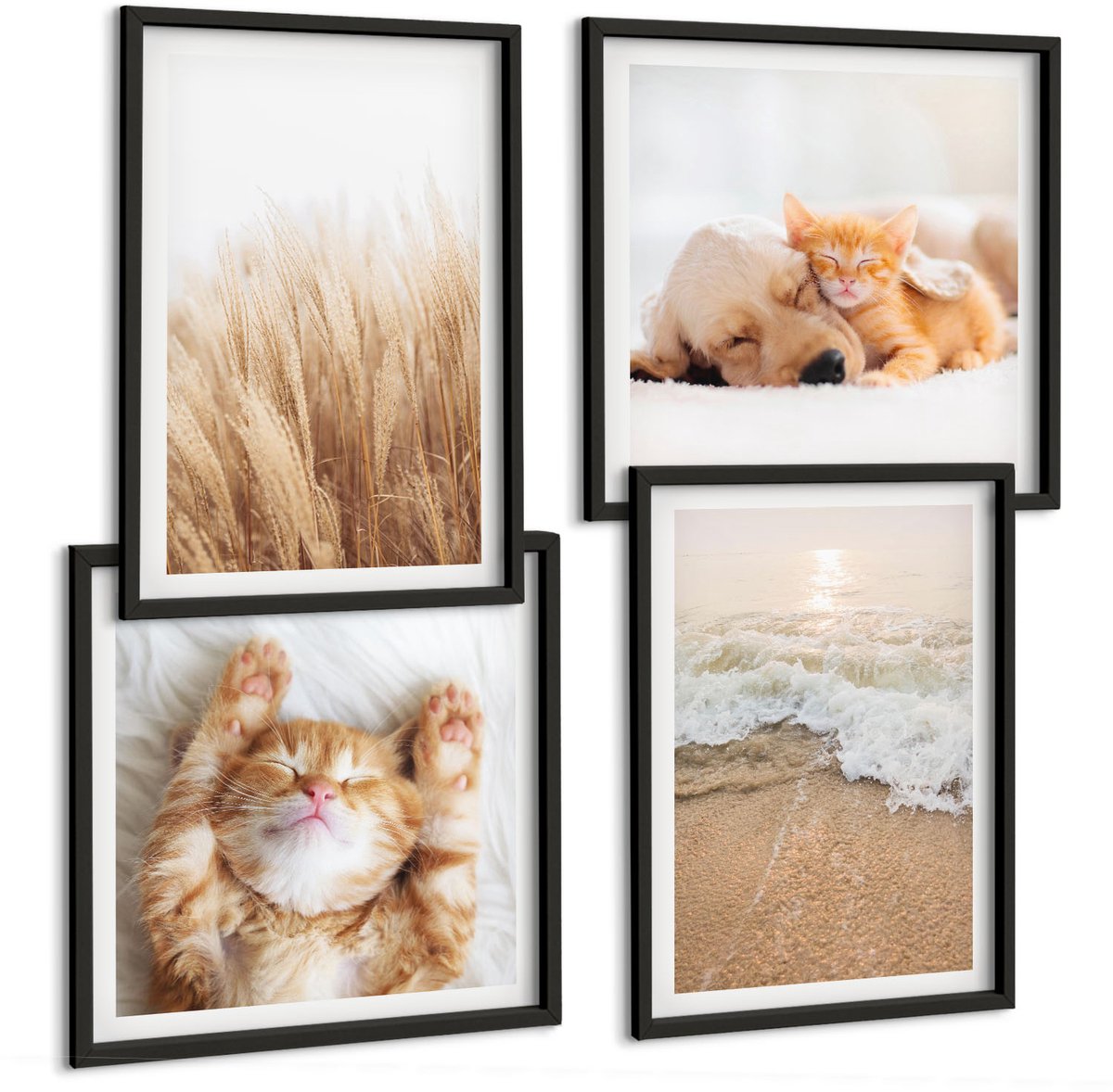 Tulup 4-Delige Schilderij Set - Schattige dieren Katten Honden Strand Gras Boho - 40 x 40 cm en 40 x 60 cm - Stijlvolle Wanddecoratie - Interieur - Interieur Decoratie