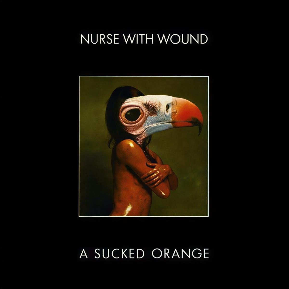 Nurse With Wound - A Sucked Orange (2 CD)