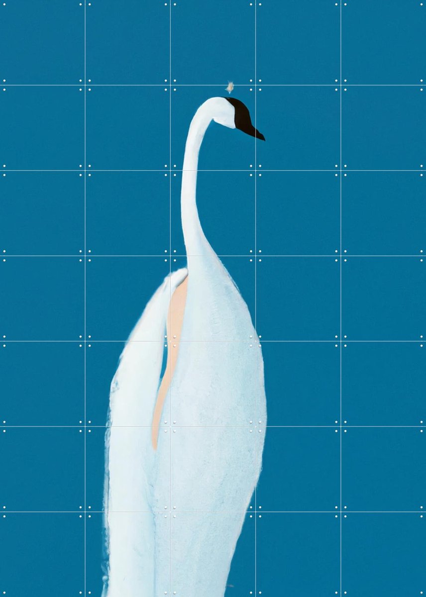 IXXI Swan Maybe, Interiorisla - 100 x 140 cm - Gratis ophangtool - Grote wanddecoratie en posters - Minimalisme, Illustraties, Abstract, Woonkamer