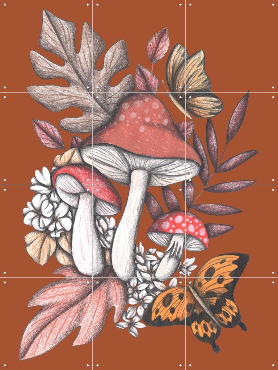 IXXI Mushrooms Magic 2, Cecilia Battaini - 60 x 80 cm - Gratis ophangtool - Grote wanddecoratie en posters - Illustraties, Speels, Fantasierijk