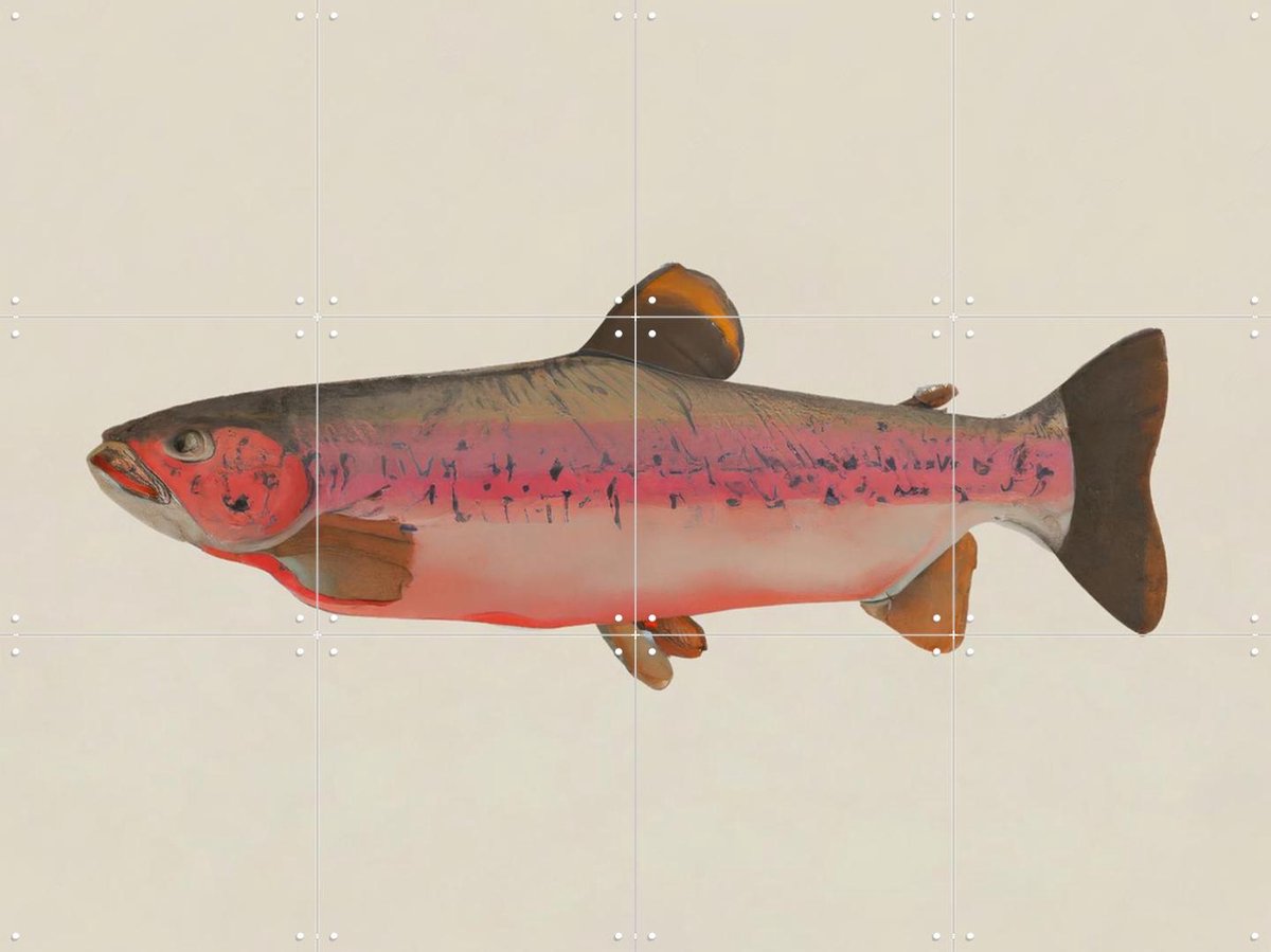 IXXI Fishy, Interiorisla - 80 x 60 cm - Gratis ophangtool - Grote wanddecoratie en posters - Illustraties, Keuken, Strandhuis, Woonkamer, Eetkamer