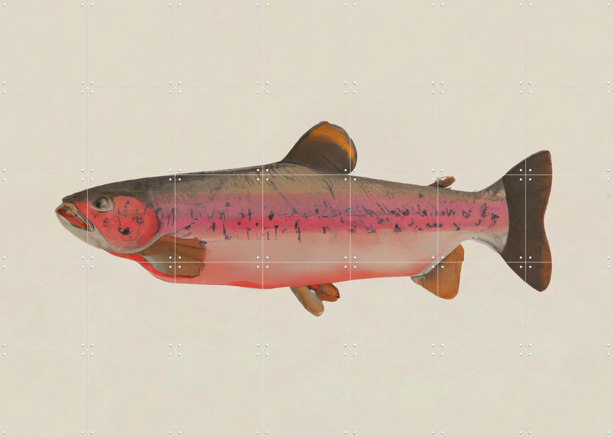 IXXI Fishy, Interiorisla - 140 x 100 cm - Gratis ophangtool - Grote wanddecoratie en posters - Illustraties, Keuken, Strandhuis, Woonkamer, Eetkamer