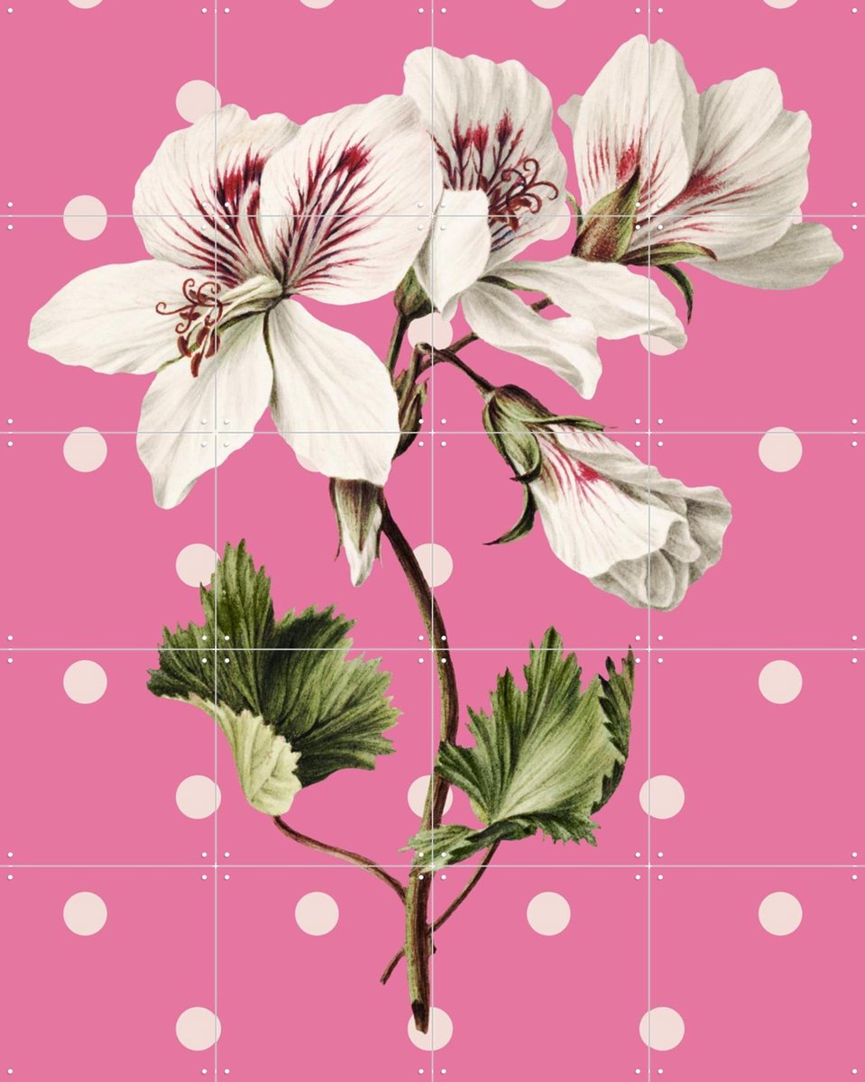 IXXI Nature on Pink, Marja van den Hurk - 80 x 100 cm - Gratis ophangtool - Grote wanddecoratie en posters - Gemengde Technieken, Vintage, Retro