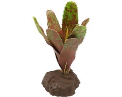 Reptile Scape it Easy - Bromelie Neoregelia groen ca. 20 cm - decoratieve plant voor terraria