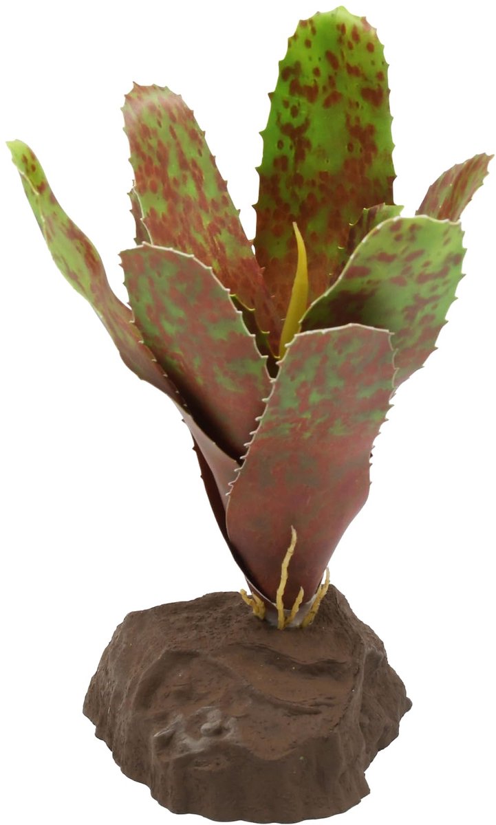 Reptile Scape it Easy - Bromelie Neoregelia groen ca. 20 cm - decoratieve plant voor terraria