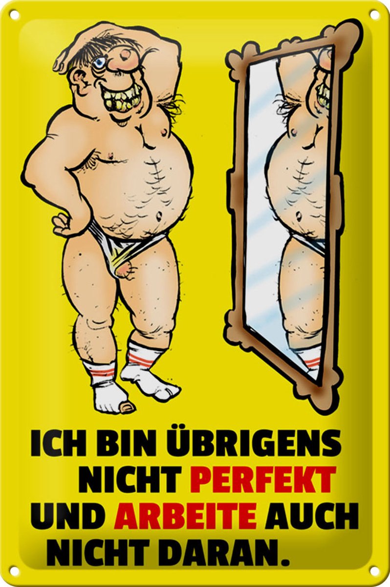 Blechschild Spruch 20x30cm Ich bin übrigens nicht perfekt