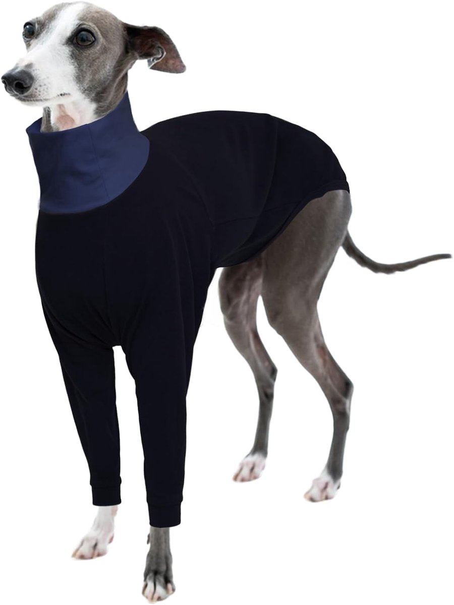 Italiaanse windhond, sweatshirt, windhond, mantel, Whippet, jas, windhond, kleding, kleine Italiaanse windhonden met hoge kraag (zwart, S)