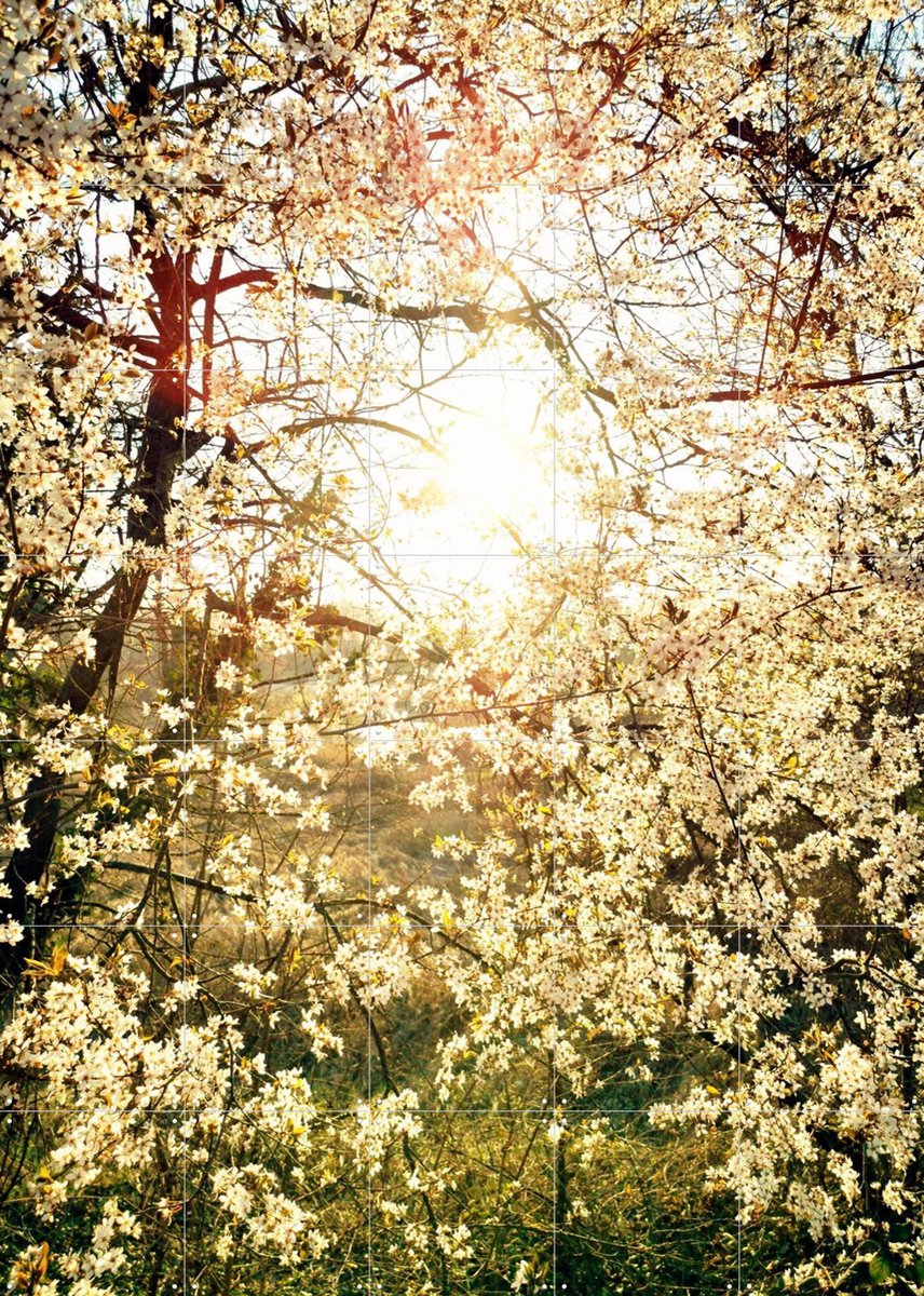 IXXI Hope, Angelo Cerantola - 100 x 140 cm - Gratis ophangtool - Grote wanddecoratie en posters - Fotografie, Studeerkamer, Gang, Slaapkamer, Lente
