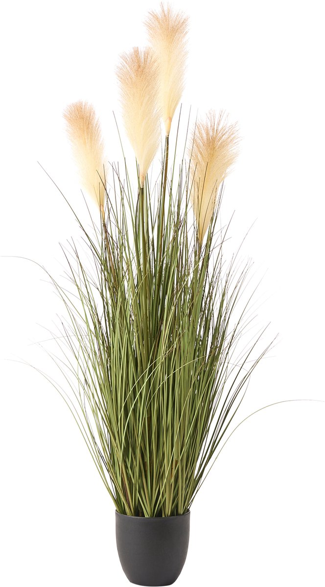 Beliani PAMPAS GRASS - Kunstplant - Groen/Wit - 120 cm - Plastic