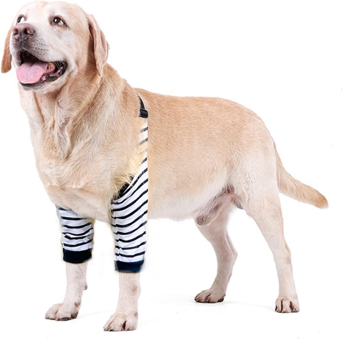 Herstelband voor Voorpoten van Honden, Kniebrace voor Wonden en Bescherming voor Middelgrote en Grote Honden