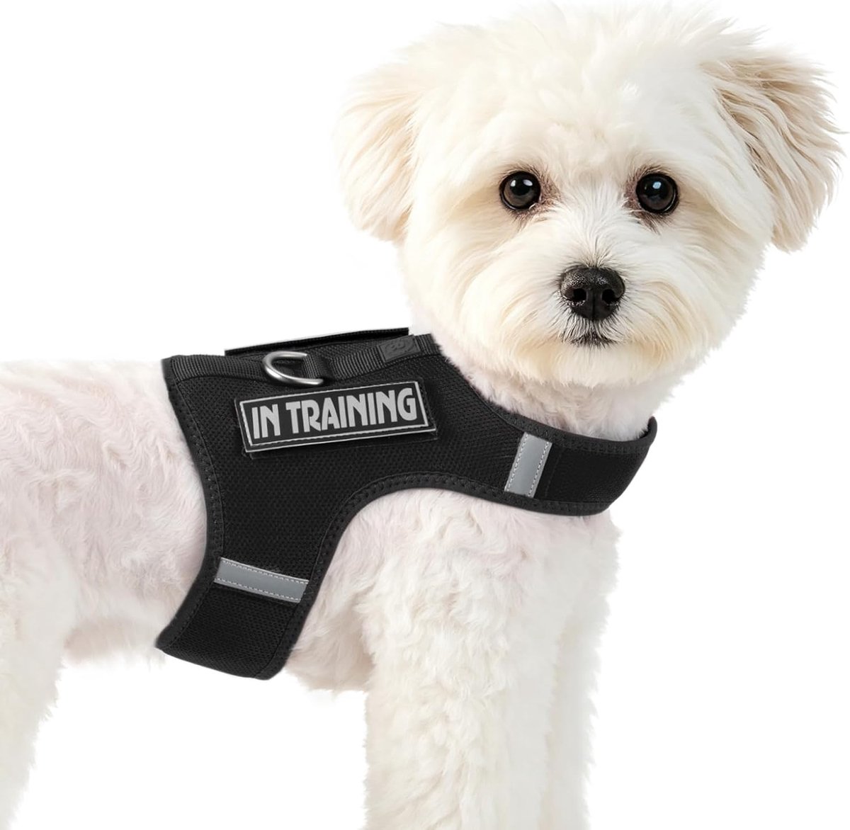 SnelShoppen - Puppy Harnas voor Kleine Honden, Verstelbaar en Ademend Zacht Vest met Reflecterende Strips + 2 Patches (Zwart, XXS)