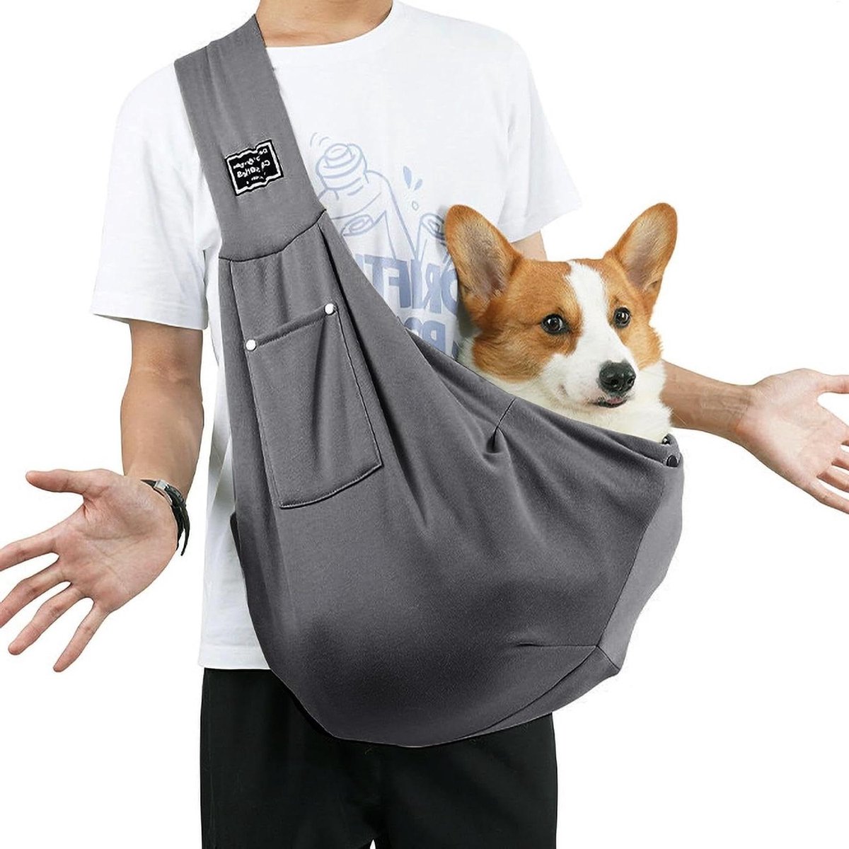 Draagtas voor Puppy's - Honden Reistas - Onderweg met Huisdier - Ademend Mesh Materiaal