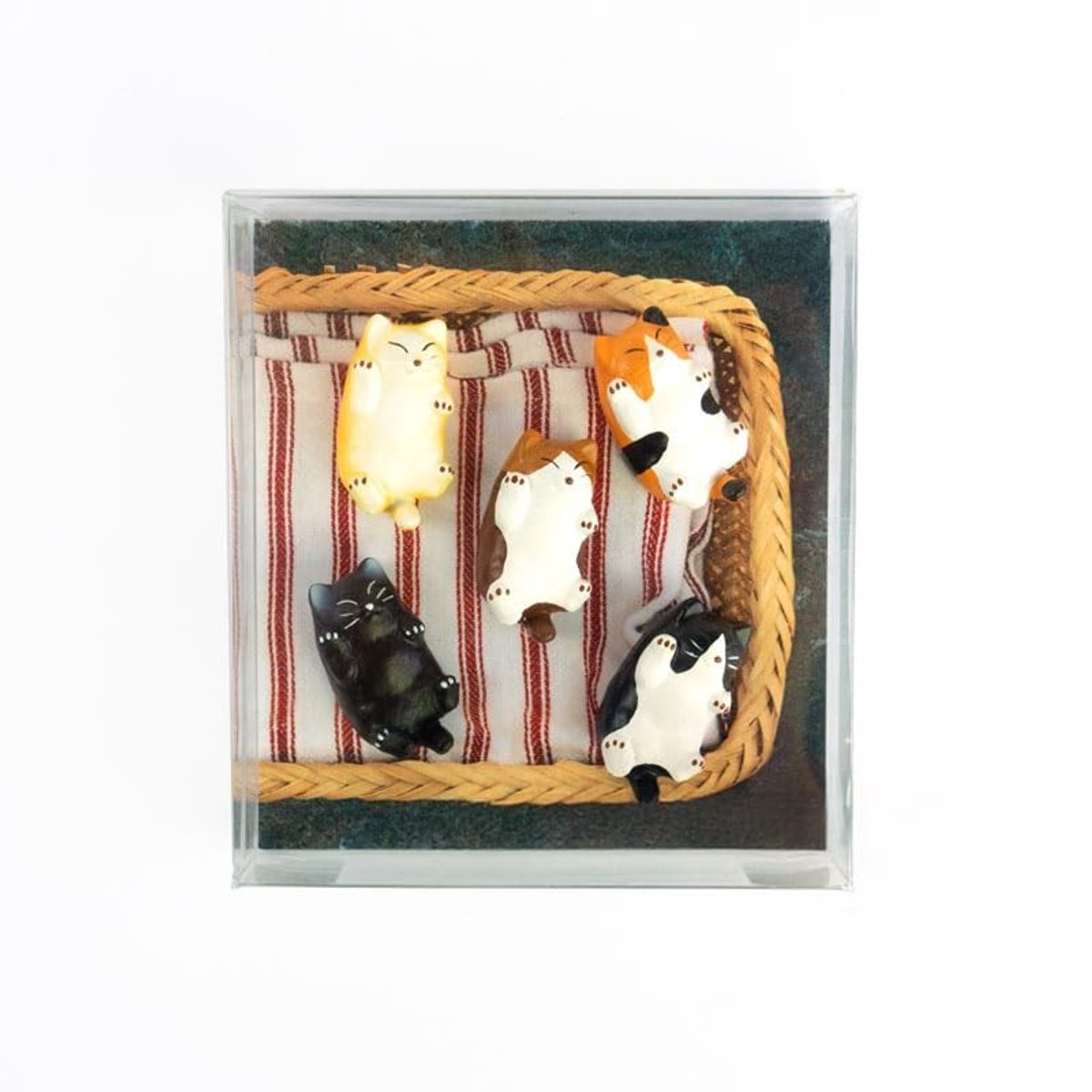 Omgoods - Set van 5 Kitty Decoratieve Magneten - Kleurrijke Fridge Magneten