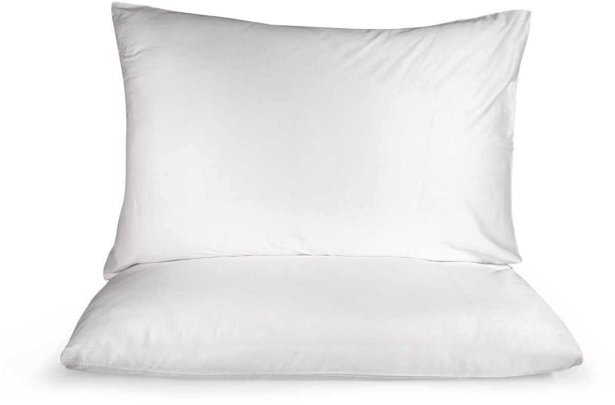 Omgoods - Set van 2 Kussenhoezen 100% Katoen 60 x 90 cm