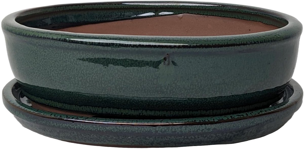 Omgoods - Glazuur Keramische Bonsai Potten met Onderbord - Perfect voor Bonsai en Succulenten (Bottle Green, 20cm)
