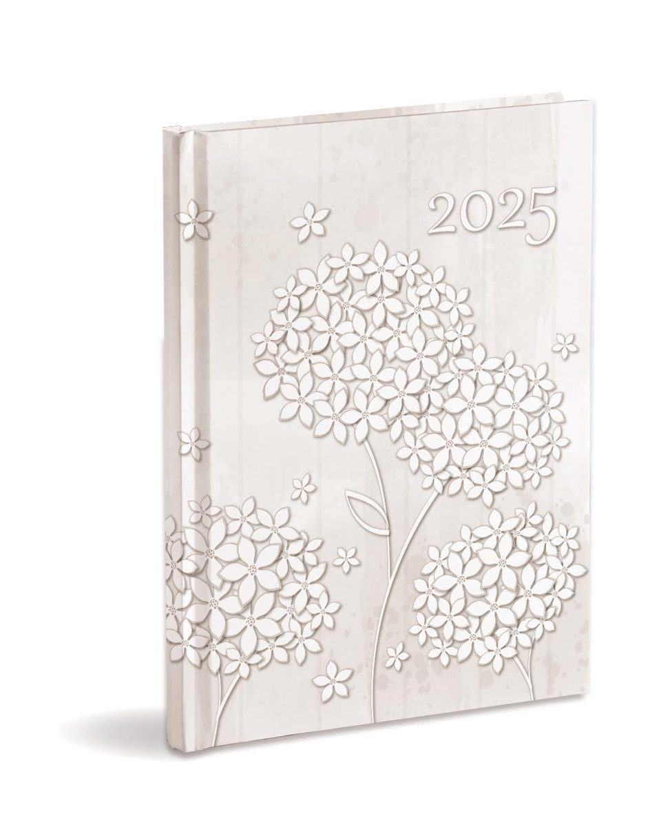 Omgoods - Daily Planner 2025 A5 - Organizer met Harde Kaft