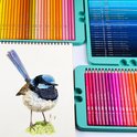 Gedetailleerde tekening van een blauwe vogel naast drie trays met kleurrijke potloden.