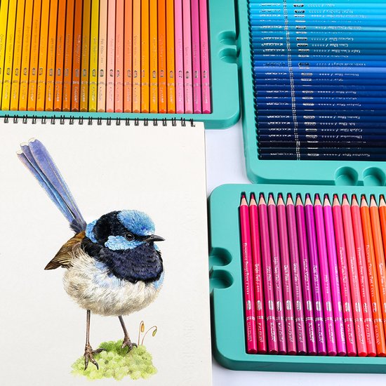 Gedetailleerde tekening van een blauwe vogel naast drie trays met kleurrijke potloden.