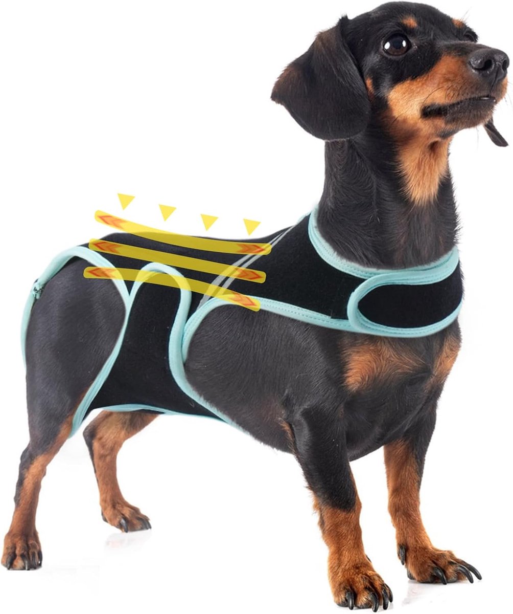 Hond Rug T-shirt voor Artritis, Hond Rug Brace voor Ivdd bij Honden