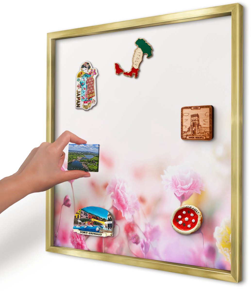 Artprintcave Roze Magneetbord mit Gouden Frame - 50x50 cm - Pastelkleurige Bloemen Bord Voor Magneten - Abstract Magneetbord Voor Keuken - Bloemen En Planten