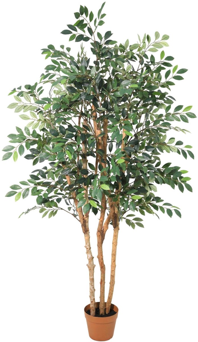 Trendyplants - Kunst Ficus Exotica - Ficus - Kunstplant - Hoogte 150cm - Potmaat Ø18cm