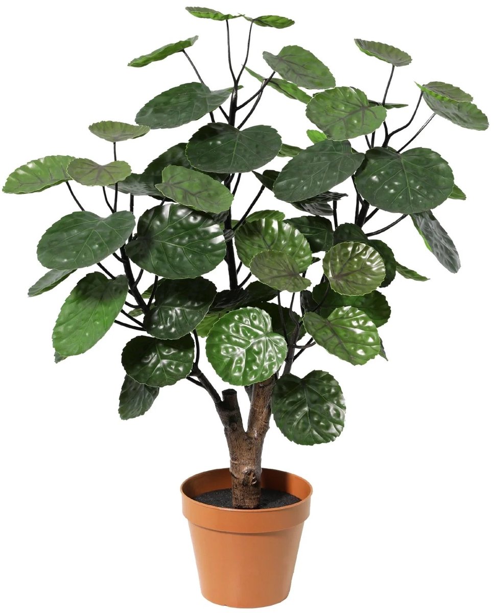 Trendyplants - Kunst Polysicas Fabian - Aralia Fabian - Kunstplant - Hoogte 53cm - Potmaat Ø12cm