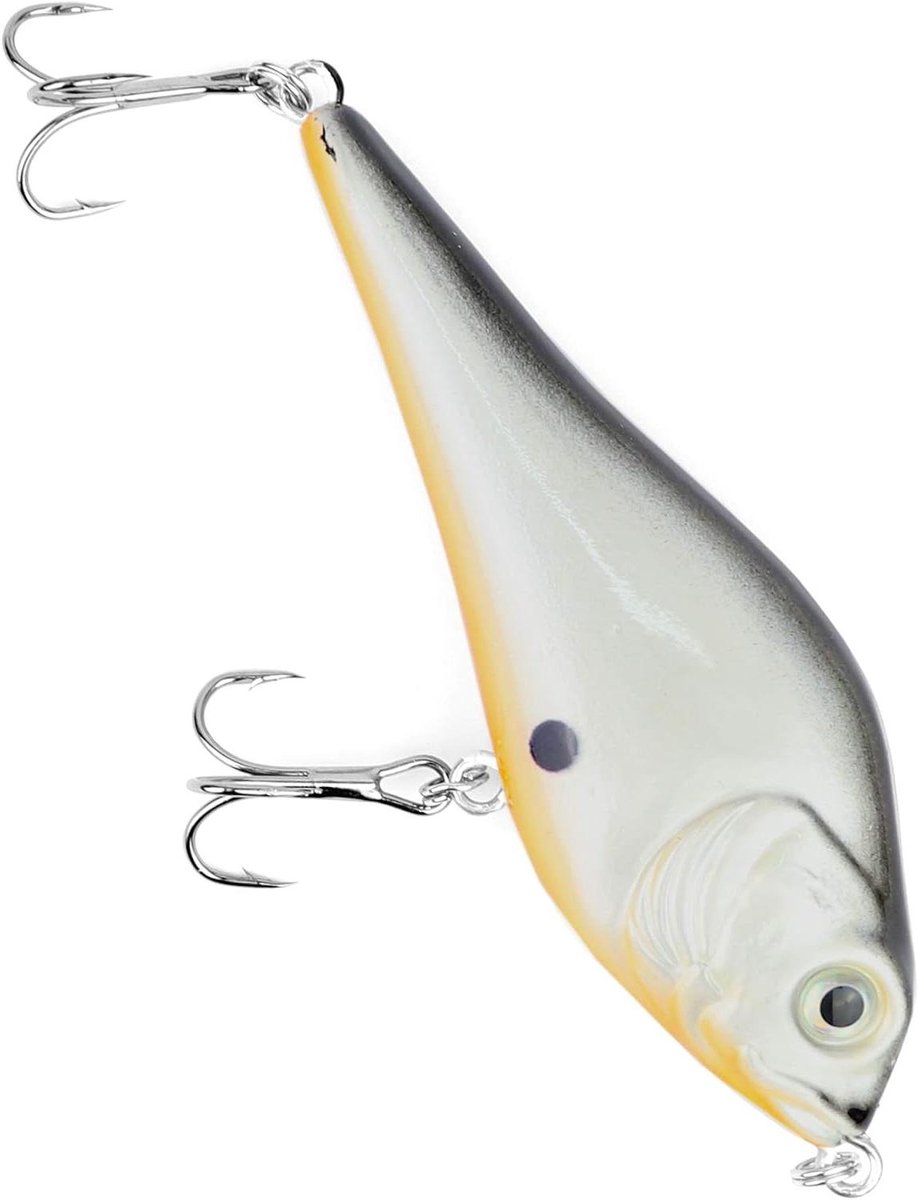 Jerkbait Wobbler - Vis Lokaas - Vissen op Roofvis - Realistische 3D Look - 10 cm - Nature Dot