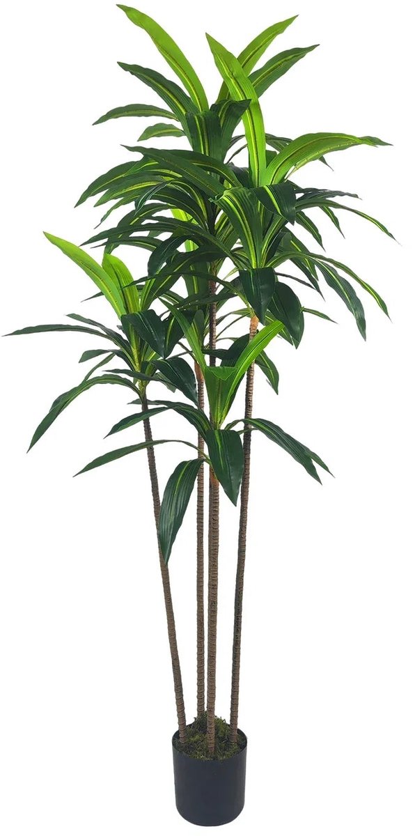 Home & Beyond® Kunstplant Dracaena - Onderhoudsvrije Kunstmatige Kamerplant voor Binnen - Groen - 180 cm