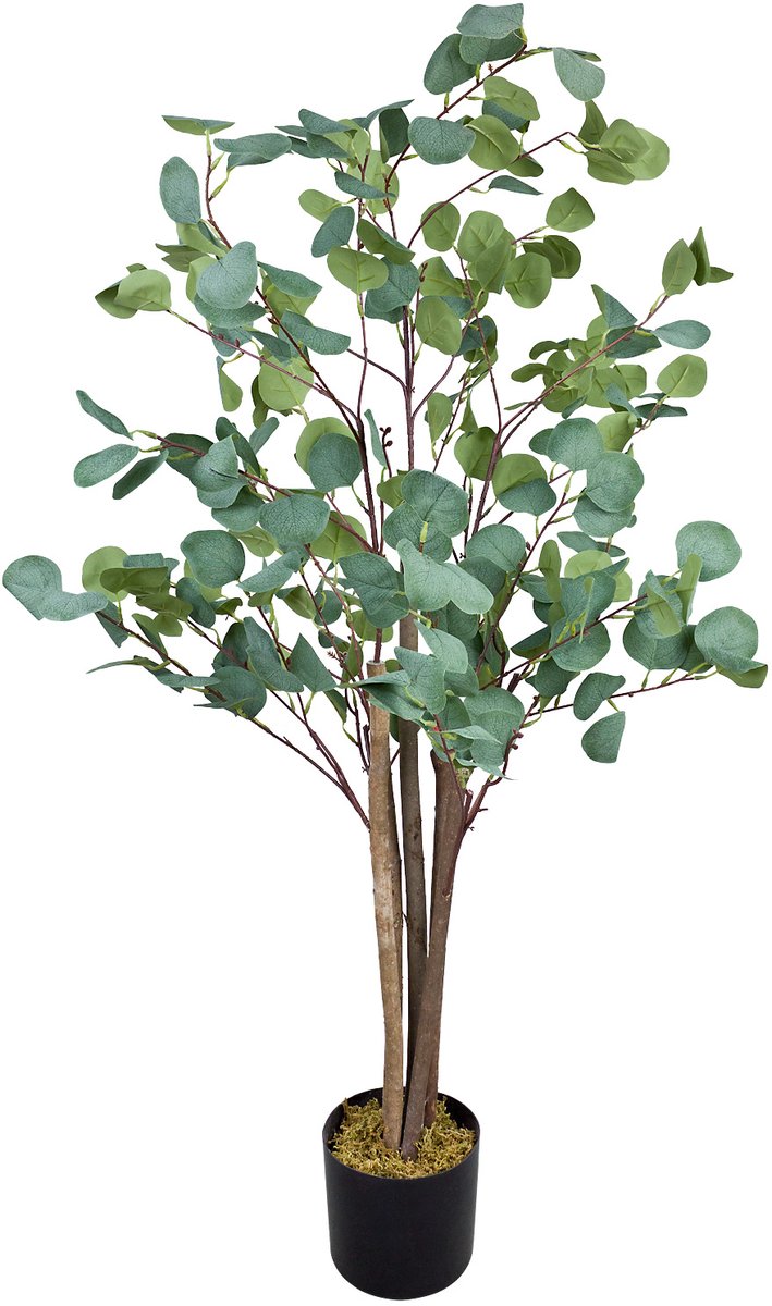 Decovego Kunstmatige Eucalyptusboom, 120 cm, met Echte Houten Stam, voor Thuis & Kantoor, Onderhoudsarm & Groenblijvend