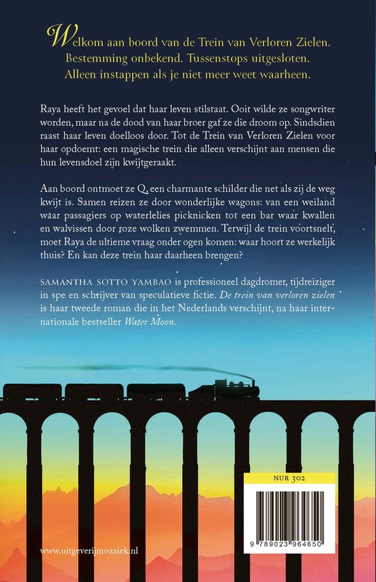 Boekomslag: De trein van verloren zielen. Een trein rijdt over een viaduct bij zonsondergang.
