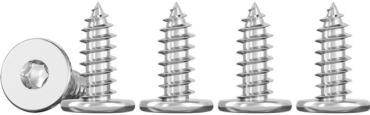 SolidKeus - Set van 50 RVS Houtschroeven M3 x 10 mm