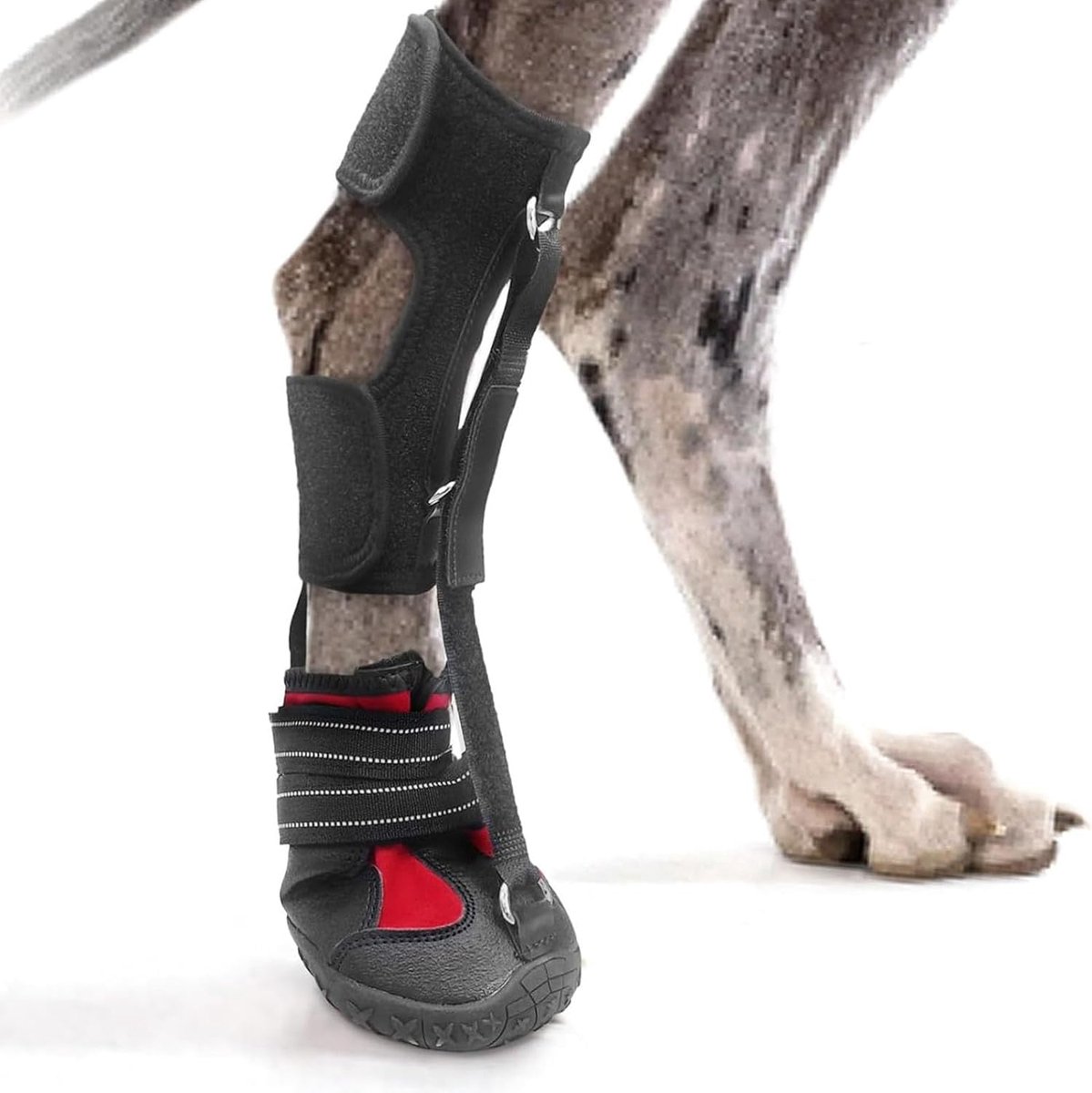 Hond Strap On Drop Foot Brace Til de Tenen Veilig op Slijtvaste Laars Beenbeugels Preventiebescherming Adaptief Ontwerp voor Voetproblemen Artritis Verbetering (M)