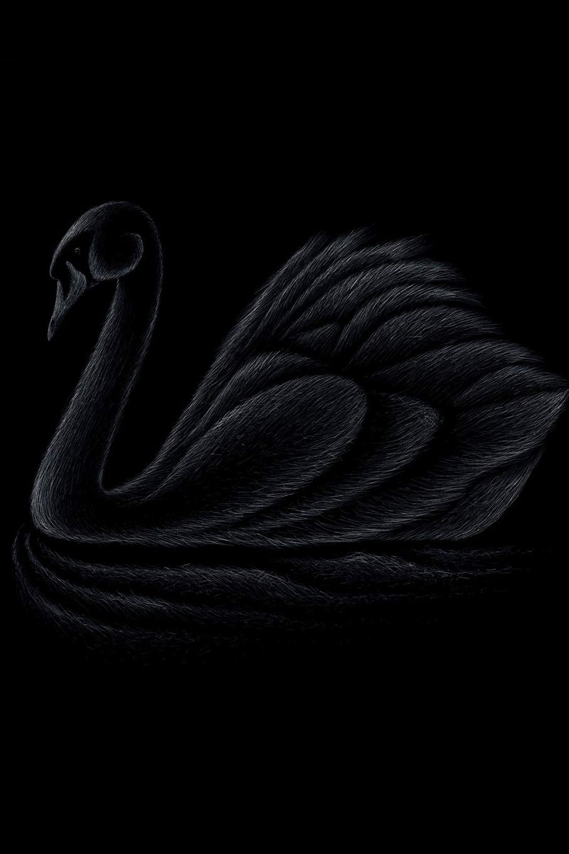 Black Swan / Medium Size Notebook with Lined Interior, Page Number and Daily Entry Ideal for Organization, Taking Notes, Journal, Diary, Daily Planner