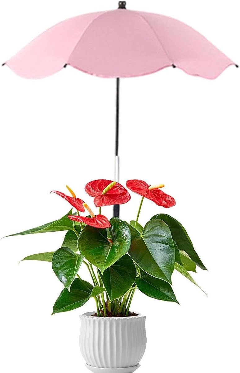 Plantenparasol - Schaduwscherm Tuin - Planten Beschermen - Hoogte Verstelbaar - 65 cm Diameter - Grijs